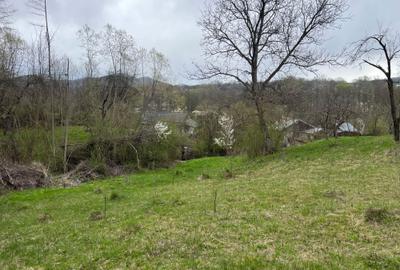 Teren de 2300 mp, în Valea Lungă - 3