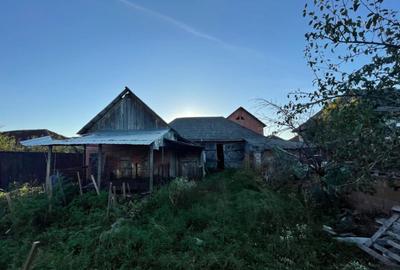 Investitie pentru liniste si oaza de verdeata - 29