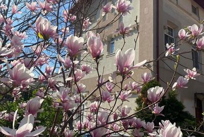 Casă cu 4 camere cu Teren 787 Mp în Ultracentral - 1