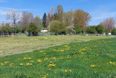 Teren Campina varful Muscel - 3