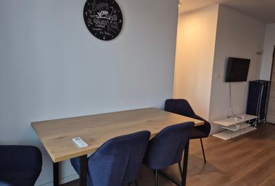 Apartament cu 2 camere decomandat, mobilat în Torontalului - 5