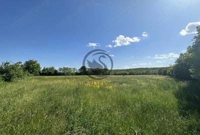 Teren de 11000 mp, în Ghirdoveni - 11