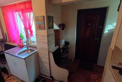 Casă cu 2 camere cu Teren 250 Mp în Lunei - 6
