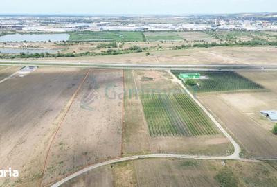 Teren de 20742 mp, în Sântandrei - 3