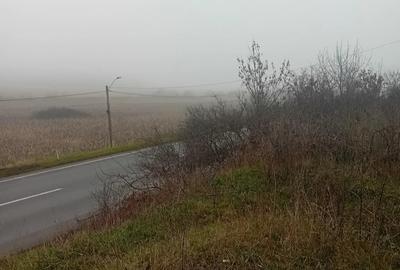 Teren de 1000 mp, în Schitu Duca - 9