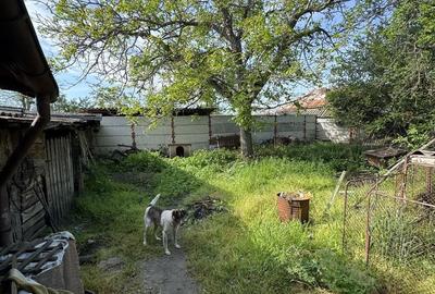 Casă cu 4 camere în Roșiori de Vede - 2