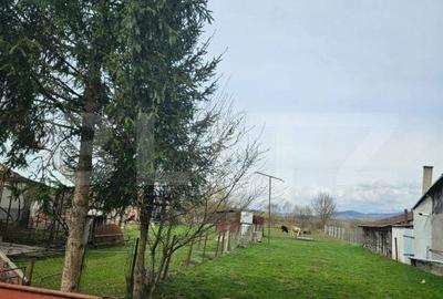 Casă cu 3 camere cu Teren 2766 Mp în Batoș - 4
