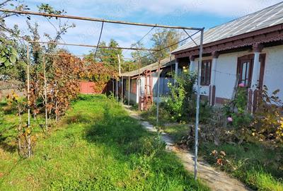 Casa+teren de vanzare - 2