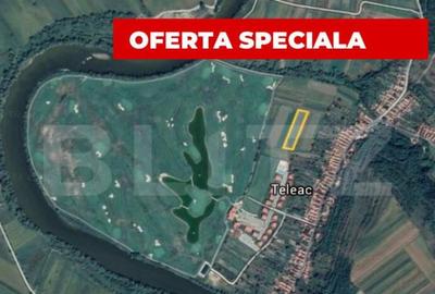 Teren extravilan, 4600 mp, Zona Teleac - Golf Theodora - Ciu - 1