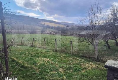 Casă cu 1 camere cu Teren 2500 Mp în Mintiu Gherlii - 5