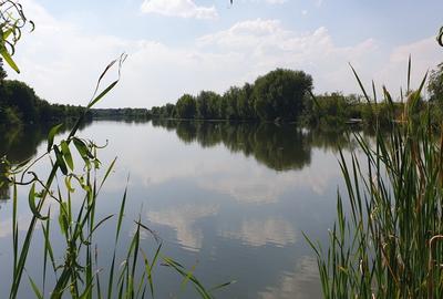 Ocazie deosebită, vânzare rapidă, teren intravilan, 577mp, în Corbeanca - 6