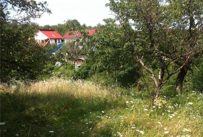Teren de 3200 mp, în Rășinari - 5