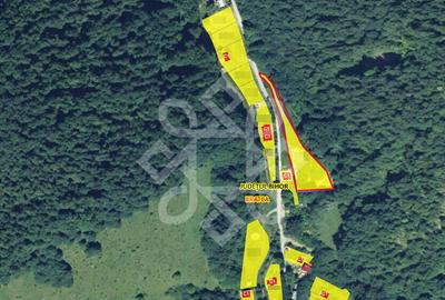 Teren pentru casa de vacanta pe Valea Bratcutei, Bihor - 2