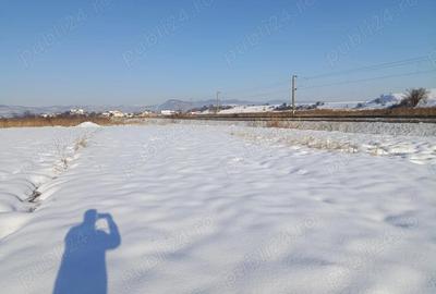 Teren de 4000 mp, în Florești - 1