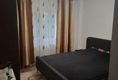 Apartament cu 2 camere semidecomandat în Paltiniș - 6