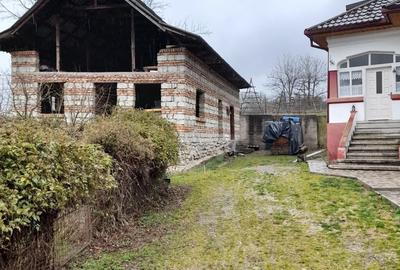 Vand constructie in zona montana ,Corbi ,jud Ag - 10