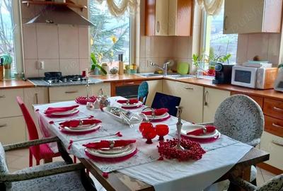 Casa spa?ioasa de inchiriat in Cluj-Napoca, cartier Borhanci Strada Rozmarinului - 2