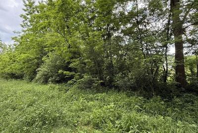 Teren Construcții intravilan de 683 mp, în Plaiu (Provița de Sus) - 8