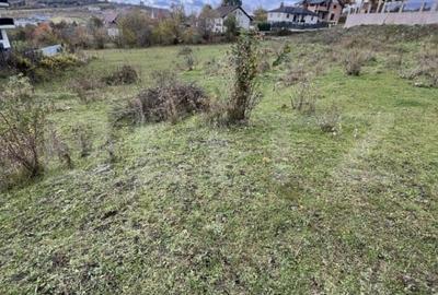 Teren 53 ari-cu posibilitate de parcelare ! Zona Subcetate Teren 53 ari-cu posibilitate de parcelare ! Zona Subcetate - 1