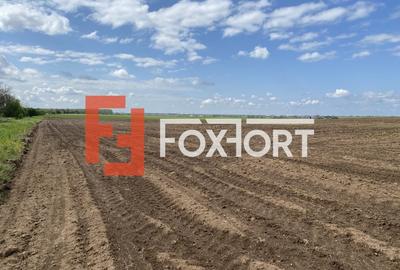 Teren Agricol | Opurtunitate investitie | Sananadrei - ID V713 - 6