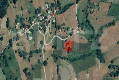 Teren de 1641 mp, în Săcuieu - 2
