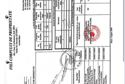 Teren Construcții intravilan de 8000 mp, în Corbeanca - 4
