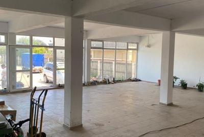 Spatiu Comercial de Inchiriat Ulmi DN71 HALA 140MP+800MP TEREN - 4