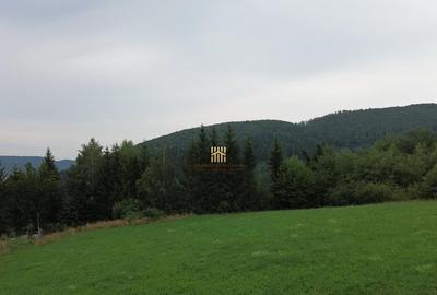 Teren 5023 mp In Bucovina Zona Manastirea Voronet De 07278 - 2