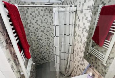 Apartament la casa, 40 mp, Andrei Saguna - 2