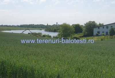 Teren cu vedere la lac Balotesti 600mp - 7