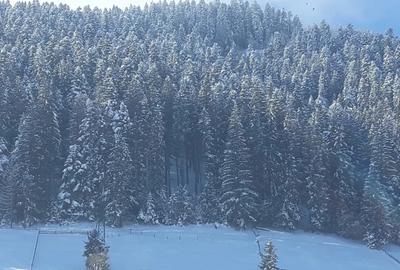 Vand casa la munte in Campulung Moldovenesc - 5