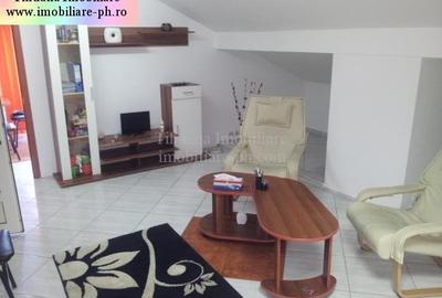 Tihuana Imobiliare:Spatiu comercial de inchiriat-Cantacuzino - stradal - 8
