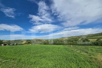 Teren de 2094 mp, în Chinteni - 6