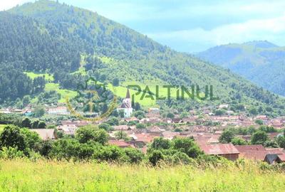 Teren agricol extravilan de 3010 mp, în Rășinari