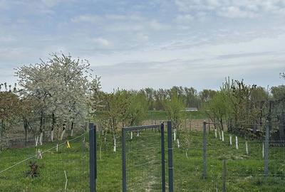 Casă cu 4 camere în Păulești - 3