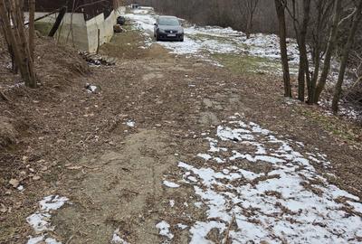 Spațiu comercial, în Teișani - 4