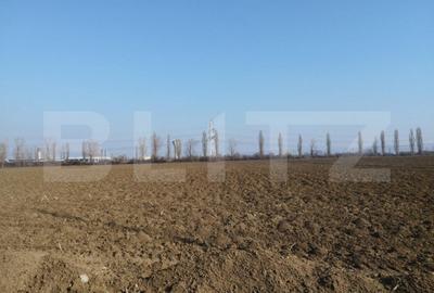 Teren de 10000 mp, în Berceni - 4