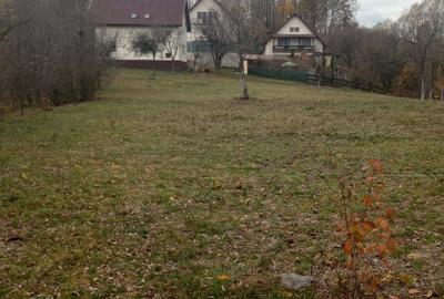 Teren intravilan Drajna 4062mp - 6