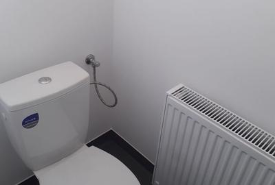 Spațiu industrial, de 600 mp, în Theodor Pallady - 8