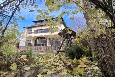 Daesti, jud. Valcea - 10