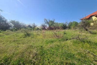 Teren de vanzare in Campina in zona retrasa - 9