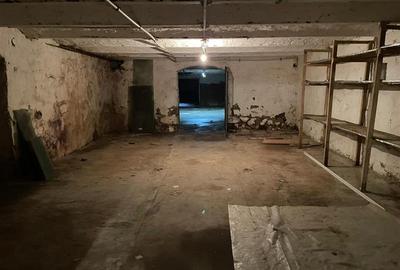 Spațiu comercial, de 277 mp, în Ultracentral - 11