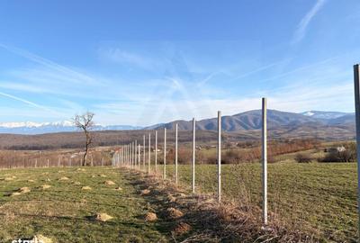 Teren de 809 mp, în Poplaca - 6