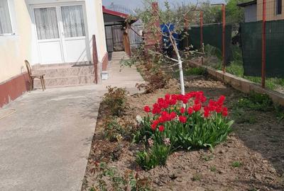 Casă cu 4 camere în Bujoreanca - 1