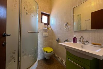 Inchiriere - vila - 6 camere - Parc Bazilescu-Bucurestii Noi - 14