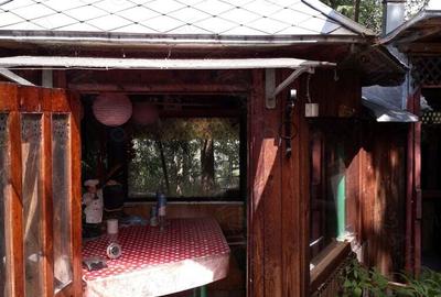 Casă cu 4 camere cu Teren 1000 Mp în Sunători - 3