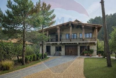 Casă cu 5 camere cu Teren 4000 Mp în Răzvad - 13