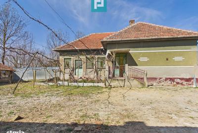 Casă cu 4 camere cu Teren 6000 Mp în Central - 2