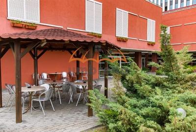 Hotel cu istoric - 23 camere - zona de vest Timisoara - 3