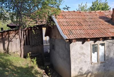 Casa batraneasca cu teren in Nehoiu, Buzau Casa batraneasca cu teren in Nehoiu, Buzau - 4